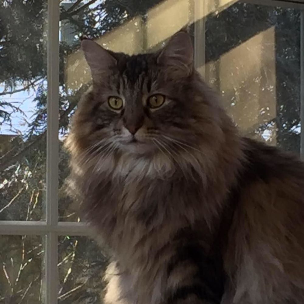 Meet your Posher, Maggie